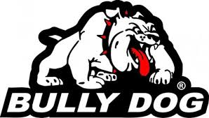 BULLY DOG